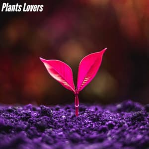 Plants Lovers - Descansar Musica