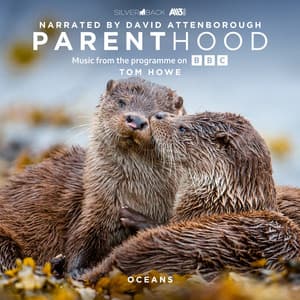 Parenthood: Oceans - Tom Howe