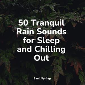 50 Tranquil Rain Sounds for Sleep and Chilling Out - Sleep Meditation Dream Catcher