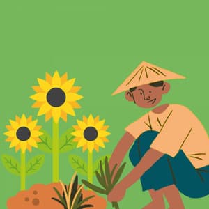 Music for Loafing Evening - Bossa Guitar Trio with Jazz Organ - Bossa Nova Project