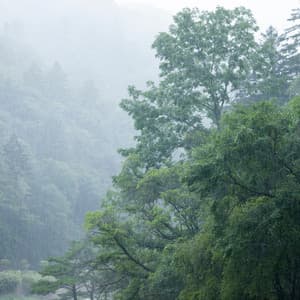 Coursework Creeks: Chill Music Rain Study - Beautiful Noises Collection