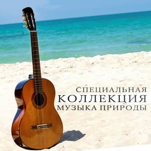 Специальная коллекция: Музыка природы, Красивые гитарные песни, Отличное самочувствие и настроение, Успокойте свои эмоции, Вечерний релакс - Nature Collection