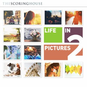 Life In Pictures 2 - Alexander Gray