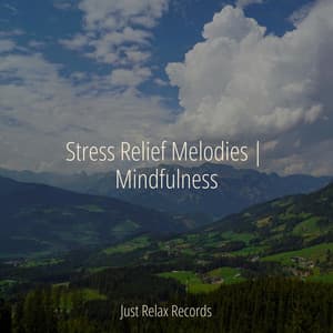 Stress Relief Melodies | Mindfulness - CANCIONES DE CUNA