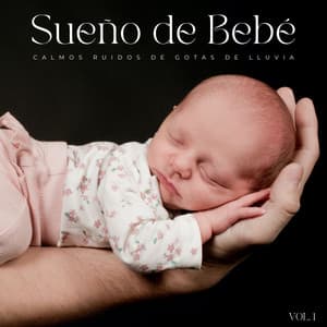 Sueño De Bebé: Calmos Ruidos De Gotas De Lluvia Vol. 1 - Ruido Blanco Para Bebes