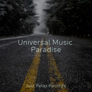 Universal Music Paradise - Meditar Profundamente