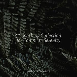 50 Soothing Collection for Complete Serenity - Nursery Rhymes Club