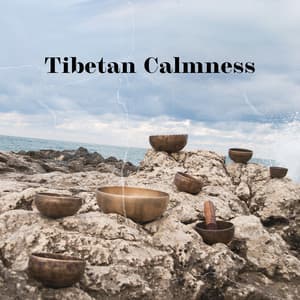 Tibetan Calmness, Tibetan Buddhism Meditation, Immersive Sound of Bells, Bowls, Gong and Nature - Tibetan Meditation Academy