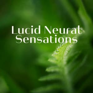 Lucid Neural Sensations – 500 Hz Green Peace Frequency - Green Noise Dimension