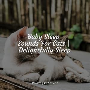 Baby Sleep Sounds For Cats | Delightfully Sleep - Calm Music for Cats