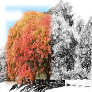 Best White Noise Spa Collection - Deep Sleep