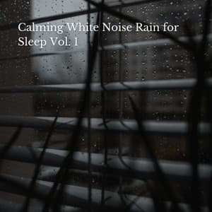 Calming White Noise Rain for Sleep Vol. 1 - White Noise Healing Power