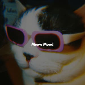 Meow Mood - Dinner Table Jazz Lounge