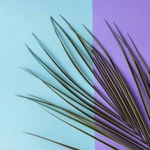 Music for The Presence - Good Morning Jazz Cafe