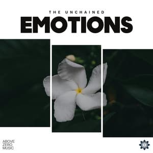 The Unchained Emotions - Natural Healing Music Zone