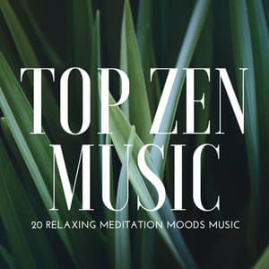 Top Zen Music: 20 Relaxing Meditation Moods Music for Spiritual Development, Yoga, Spa & Massage - Cat Whisper