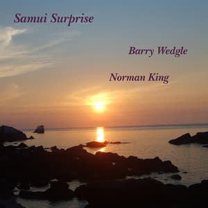 Samui Surprise - Barry Wedgle