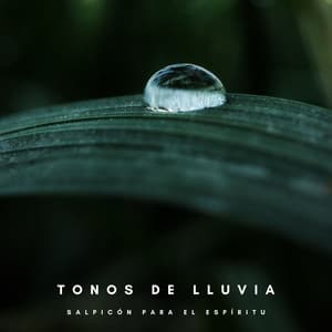 Tonos De Lluvia: Salpicón Para El Espíritu - Lluvia Para Dormir Mejor