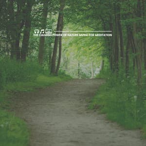 The Calming Power of Nature Music for Meditation - Naturalis