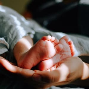 Baby Wonderland: Lofi Music for Calm and Joy - Total Relax Lo Fi Music