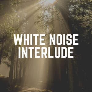 White Noise Interlude - White Noise Radiance