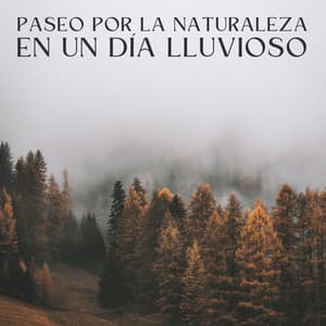 Paseo Por La Naturaleza En Un Día Lluvioso - Juegos de lluvia