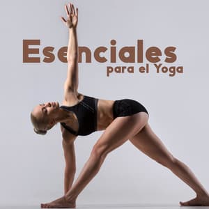 Esenciales para el Yoga - Academia de Música de Yoga Pilates