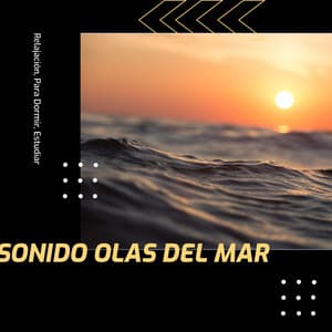 Sonido Olas Del Mar - Prince Sereno