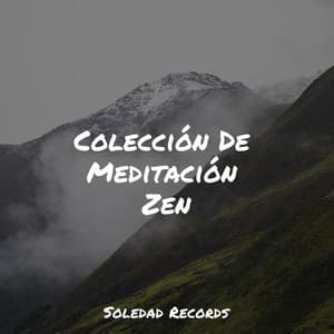 Colección De Meditación Zen - Musica Relajante & Yoga