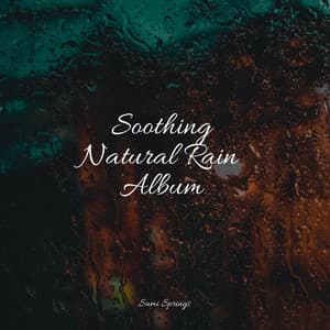 Soothing Natural Rain Album - Study Music