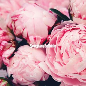 Springtime Lullabies - Música Lounge Relax para Cafés