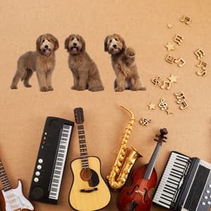 Elevate Canine Serenity: Ambient Music for Peaceful Paws - Serene Soul