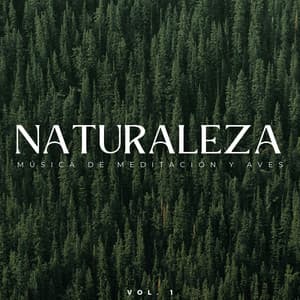 Naturaleza: Música De Meditación Y Aves Vol. 1 - Empollón de la naturaleza