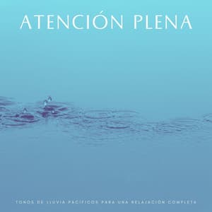 Atención Plena: Tonos De Lluvia Pacíficos Para Una Relajación Completa - Ejemplo de biblioteca de lluvia
