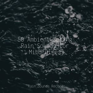 50 Ambient Spring Rain Sounds for Mindfulness - Naturaleza Sonidos