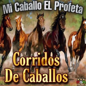 Mi Caballo El Profeta - Corridos De Caballos