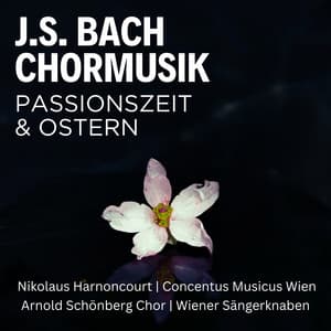 J. S. Bach: Chormusik zur Passionszeit & Ostern ; Matthäuspassion ; Johannespassion - Johann Sebastian Bach