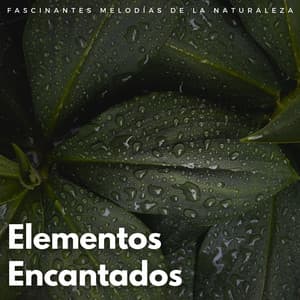 Elementos Encantados: Fascinantes Melodías De La Naturaleza - Juegos Lofi