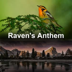 Raven's Anthem - Relaxing Nature Music