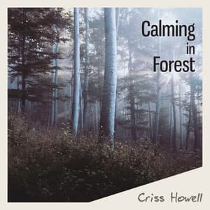 Calming in Forest - Criss Howell