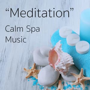 Meditation Calm Spa Music - Massage Therapy Music