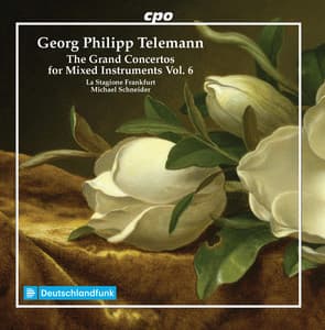 The Grand Concertos for Mixed Instruments, Vol. 6 - Georg Philipp Telemann