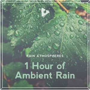 1 Hour of Ambient Rain - Rain Atmospheres