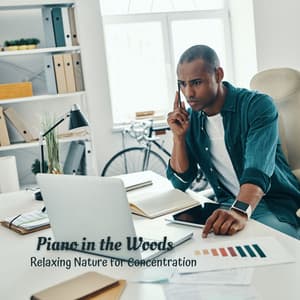 Piano in the Woods: Relaxing Nature for Concentration - Nature Caldwell