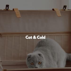 Cat & Cold - Música de Trabajo De Lujo
