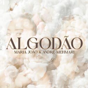 Algodão - Maria João