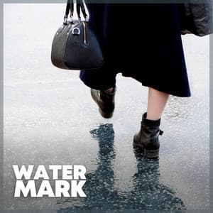 Watermark - Pro Sound Effects Library