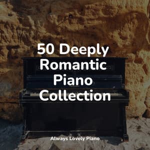 Calm Reading Sounds | Deep Chillout - Gentle Piano Music