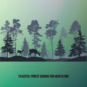 Peaceful Forest Sounds for Meditation , Loopable - Birds Songs Lullabies