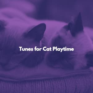 Tunes for Cat Playtime - Playlist du Dîner